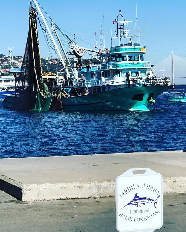 Taze Balık Sarıyer İstanbul